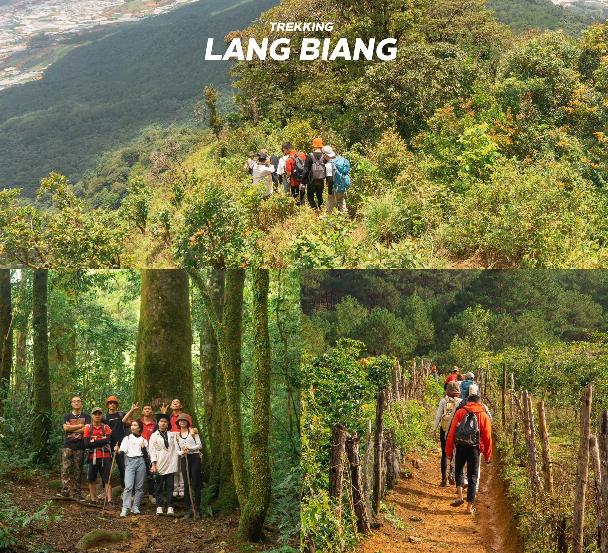 Du lịch Đà Lạt, cắm trại giữa rừng Langbiang