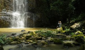 Quan cảnh thiên nhiên Đà Lạt với sông suối tươi mát