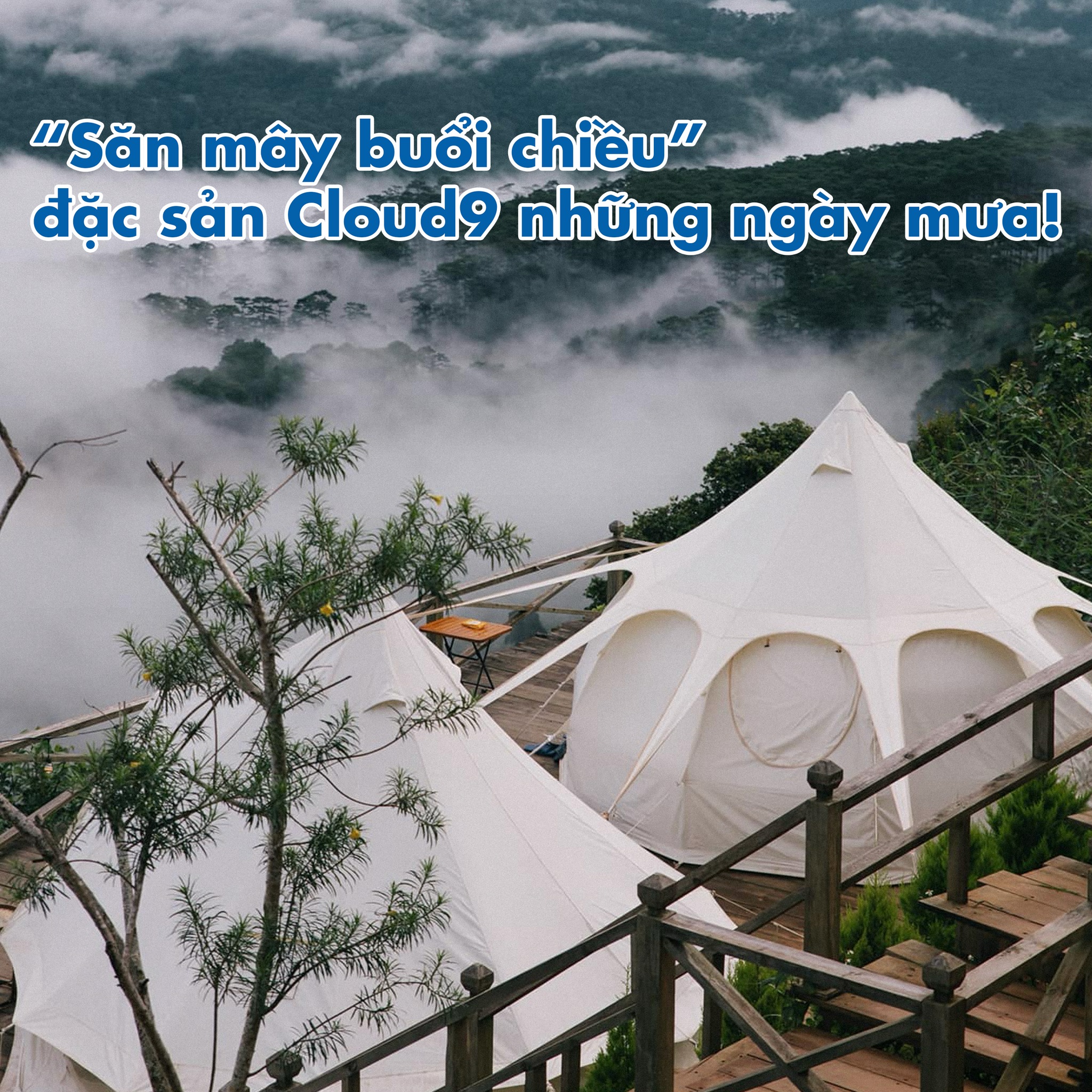 5 Must-Visit Camping Spots in Da Lat – Louis Phan Travel 82 tour du lich đà lạt