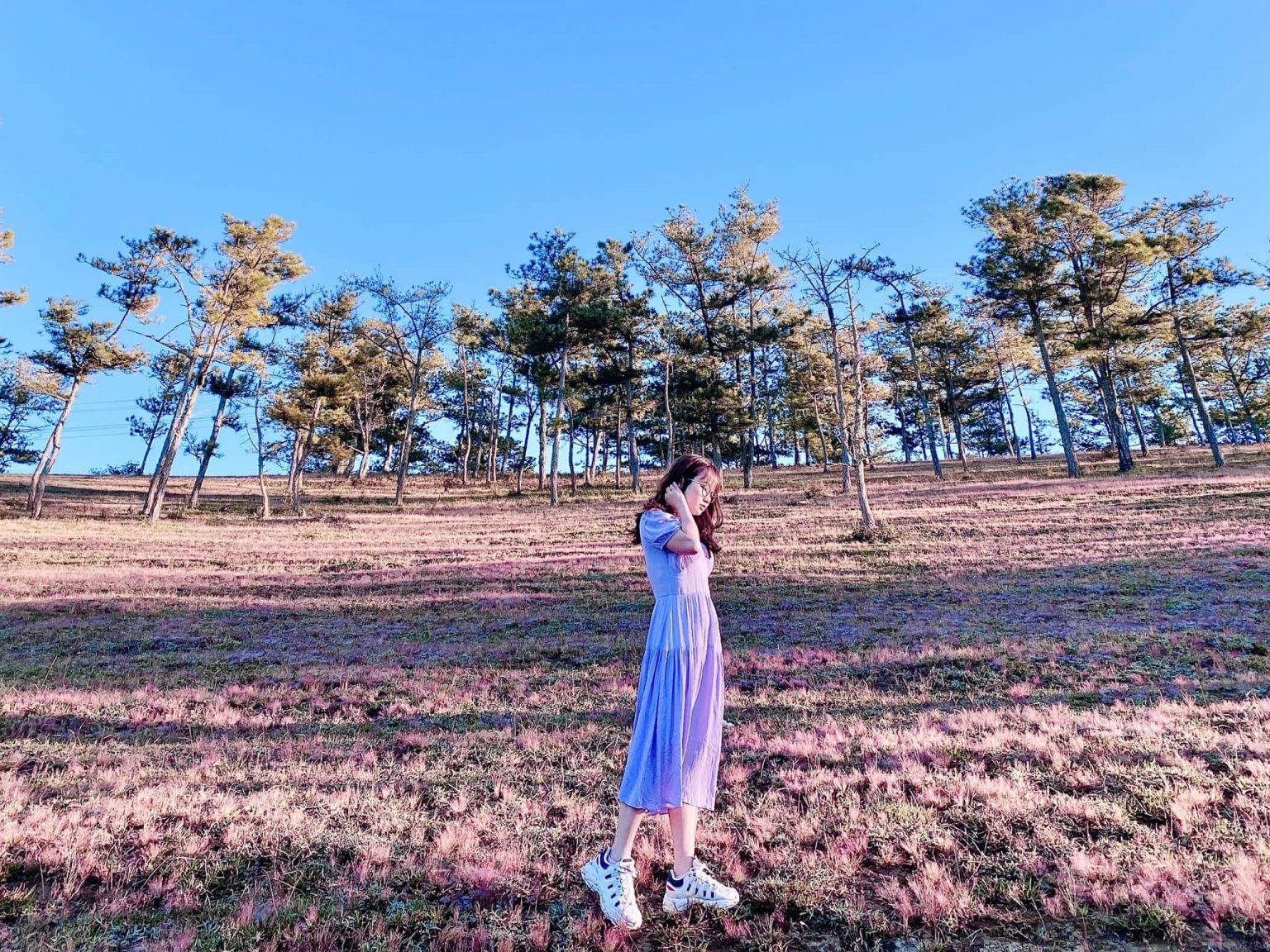 Địa điểm du lịch đồi cỏ 6 hồng Đà lạt