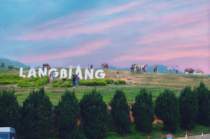 Vietnam Tourism – Da Lat: Trekking Langbiang 25 6