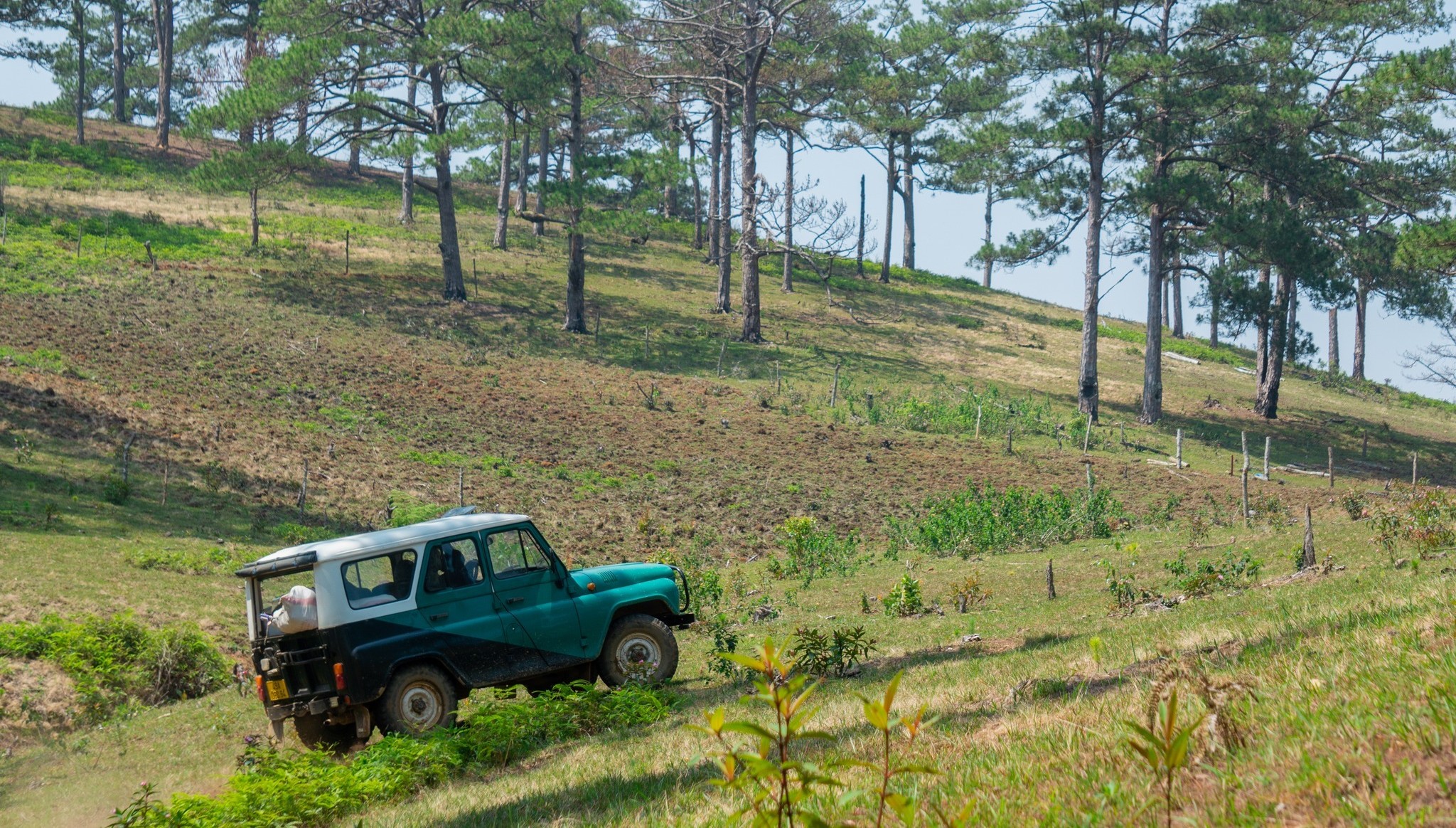 du lịch Đà Lạt bằng xe jeep