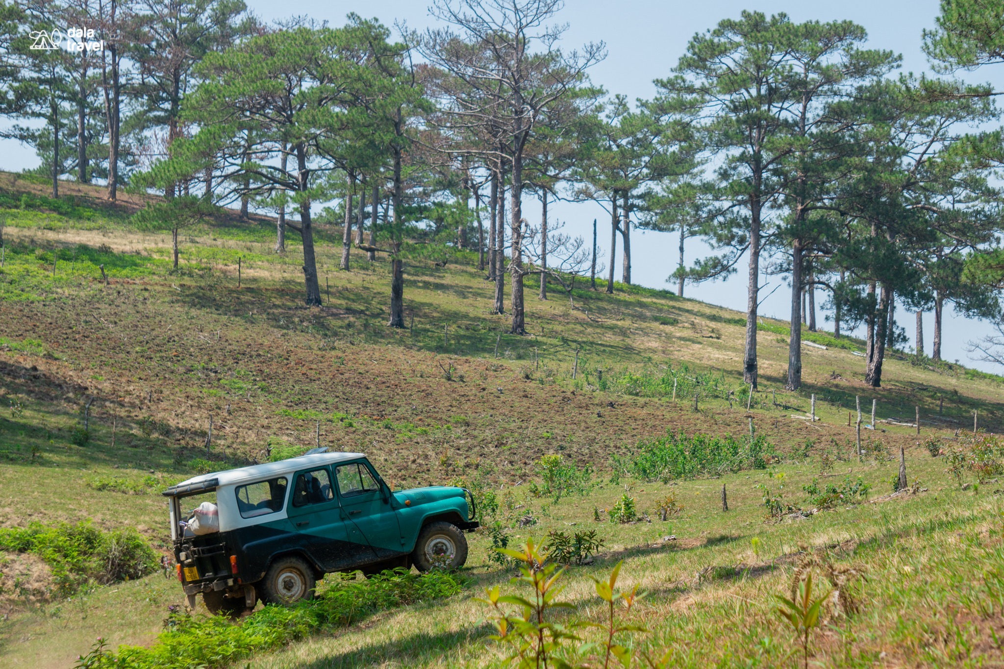 du lịch Đà Lạt bằng xe jeep