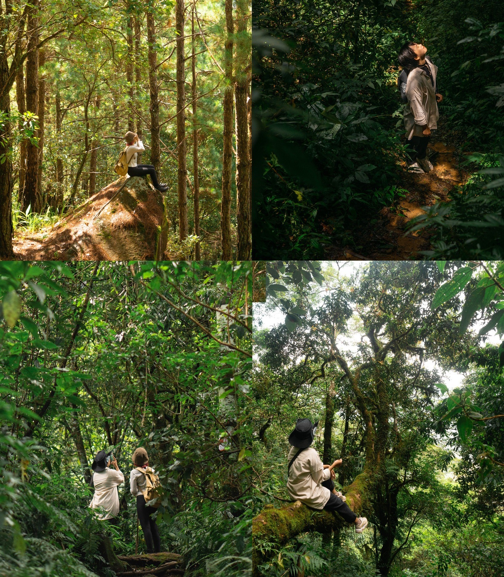 du lịch Đà Lạt, tham quan LangBiang