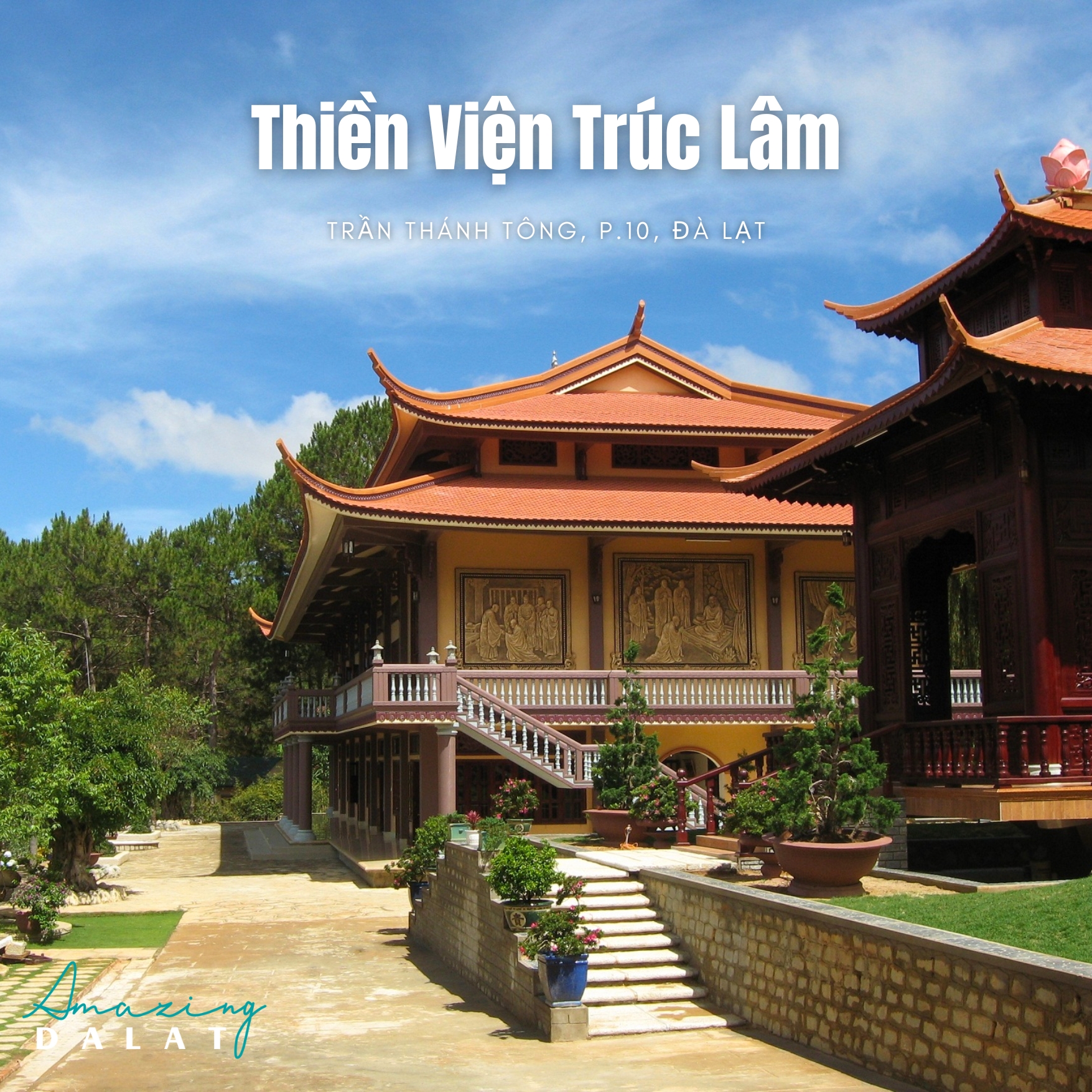 Top 20 địa điểm du lịch Đà Lạt 2025 - Hướng dẫn chi tiết nhất 15 Thiền viện trúc lâm Đà lạt