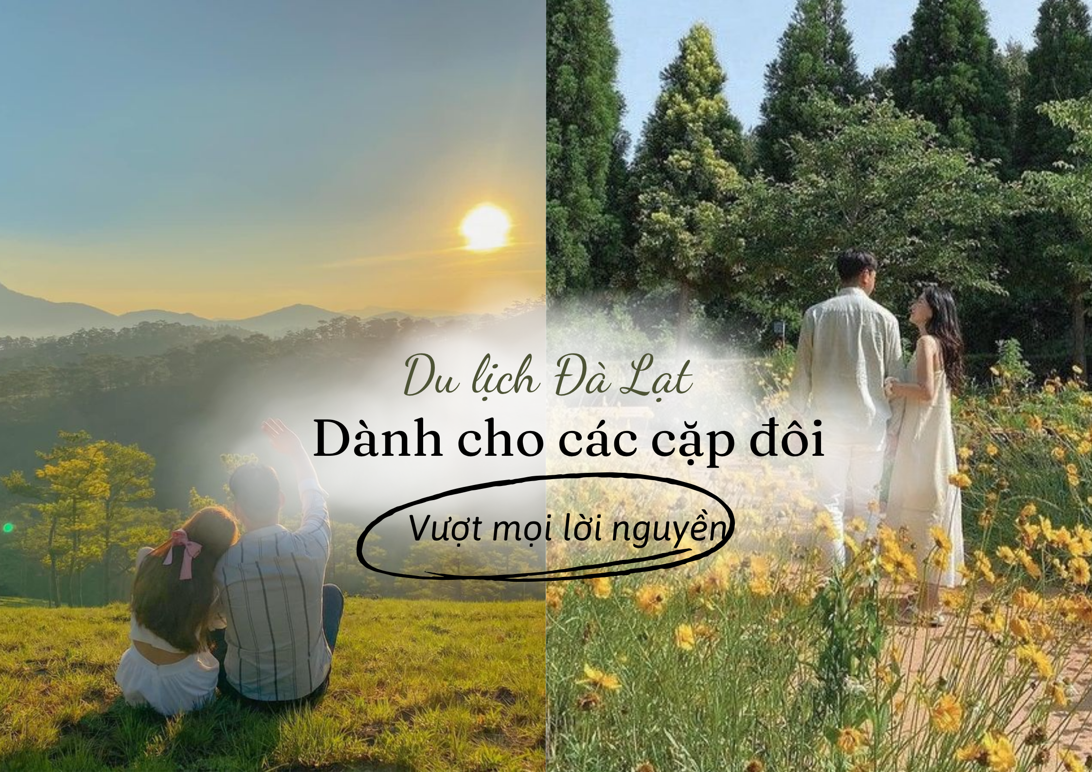 Du lịch Đà Lạt cho cặp đôi, vượt lời nguyền, giữ trọn tình yêu 1 Du lịch Đà Lạt cho cặp đôi, vượt lời nguyền, giữ trọn tình yêu