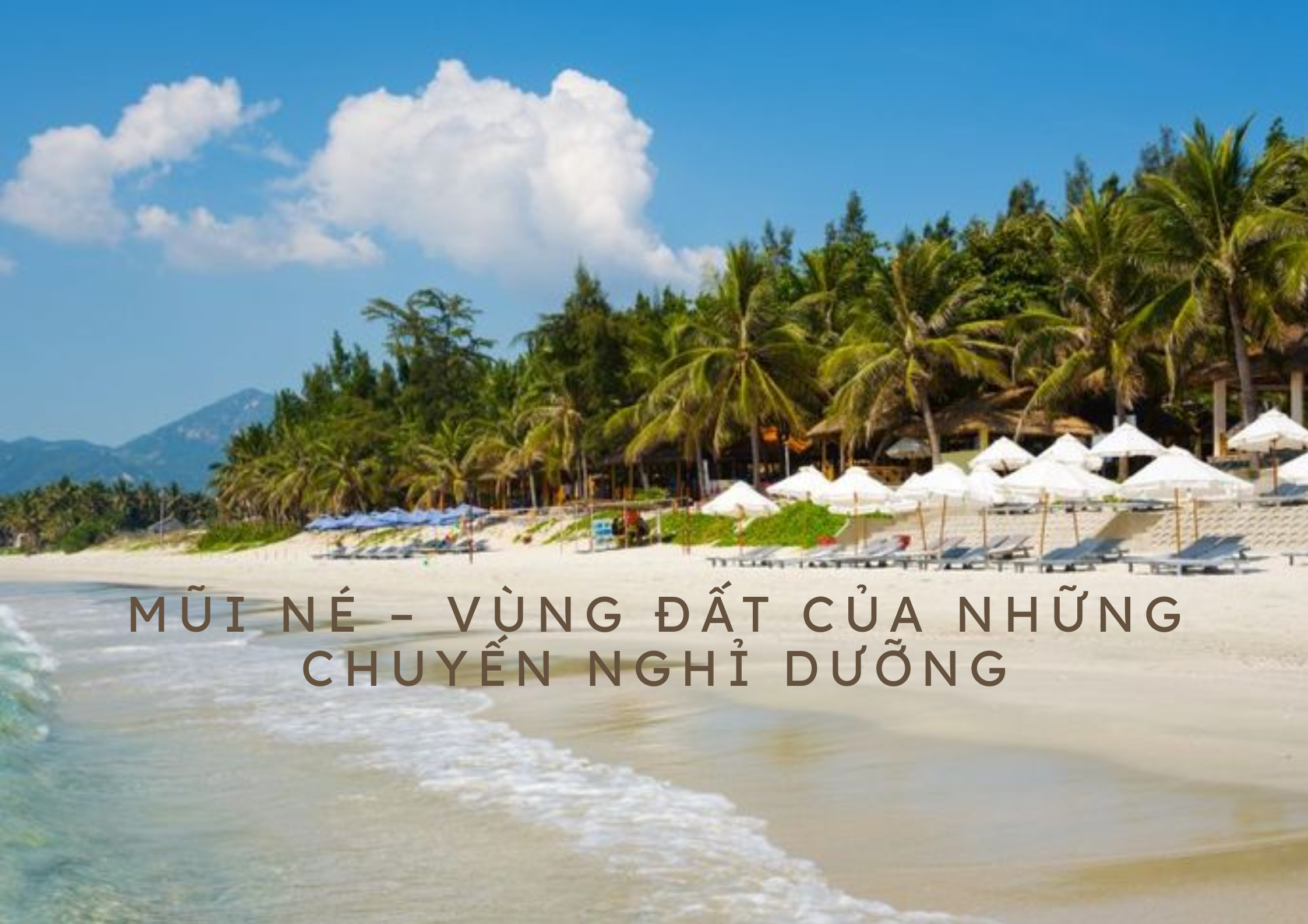 Những kinh nghiệm du lịch Mũi Né mùa hè 2025 này! 1 Du lịch Mũi Né