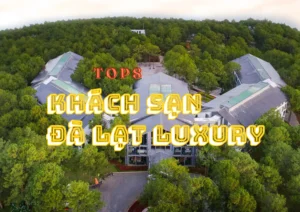 Top 8 khách sạn Đà Lạt luxury được nhiều khách hàng chọn lựa nhất 2025