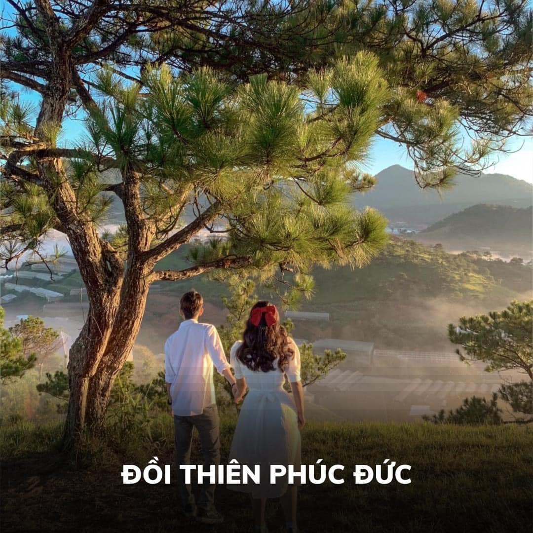 Đồi thiên Phúc - du lịch Đà lạt