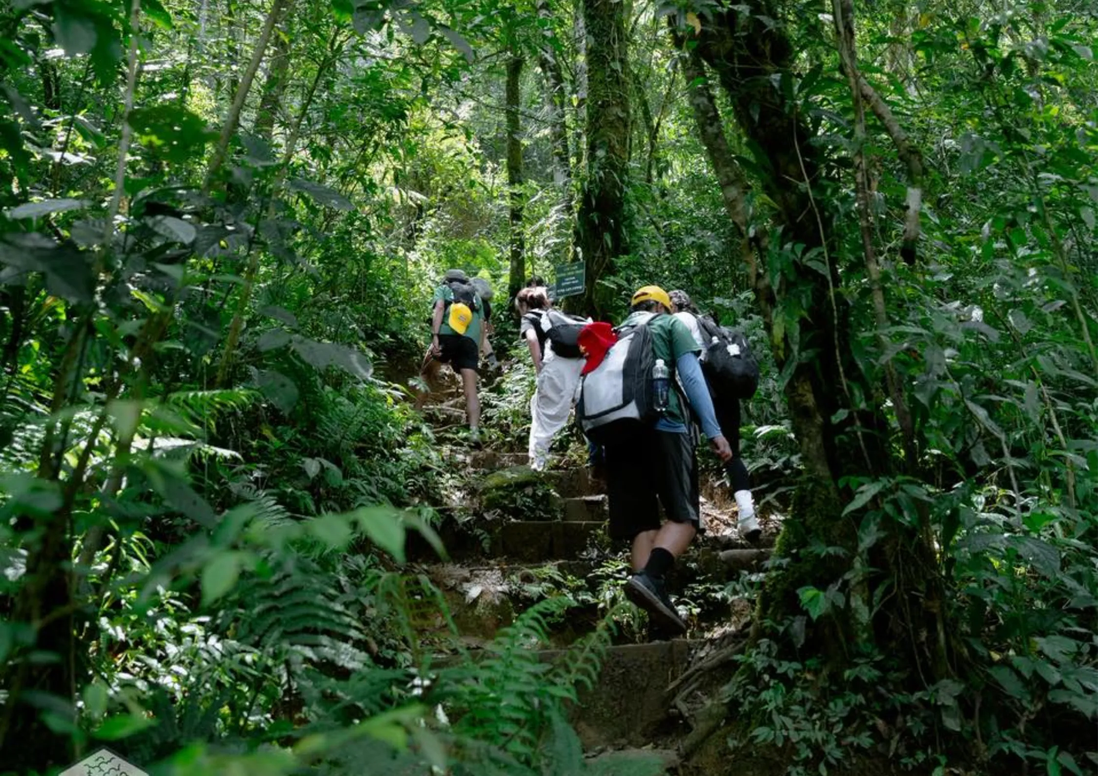 Địa điểm du lịch Đà Lạt lý tưởng cho chuyến nghỉ dưỡng và làm việc (Workation) 10 Trekking núi Langbiang, địa điểm du lịch Đà Lạt khám phá nổi tiếng