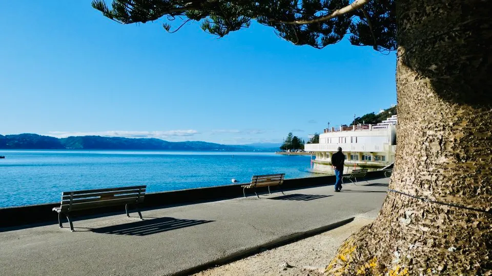Oriental Bay New ZeaLand