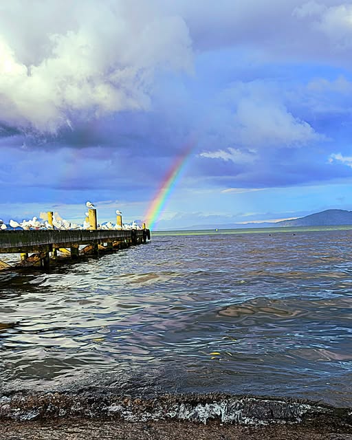 Road Trip Around New Zealand: Rotorua 3 Lake Rotorua New Zealand