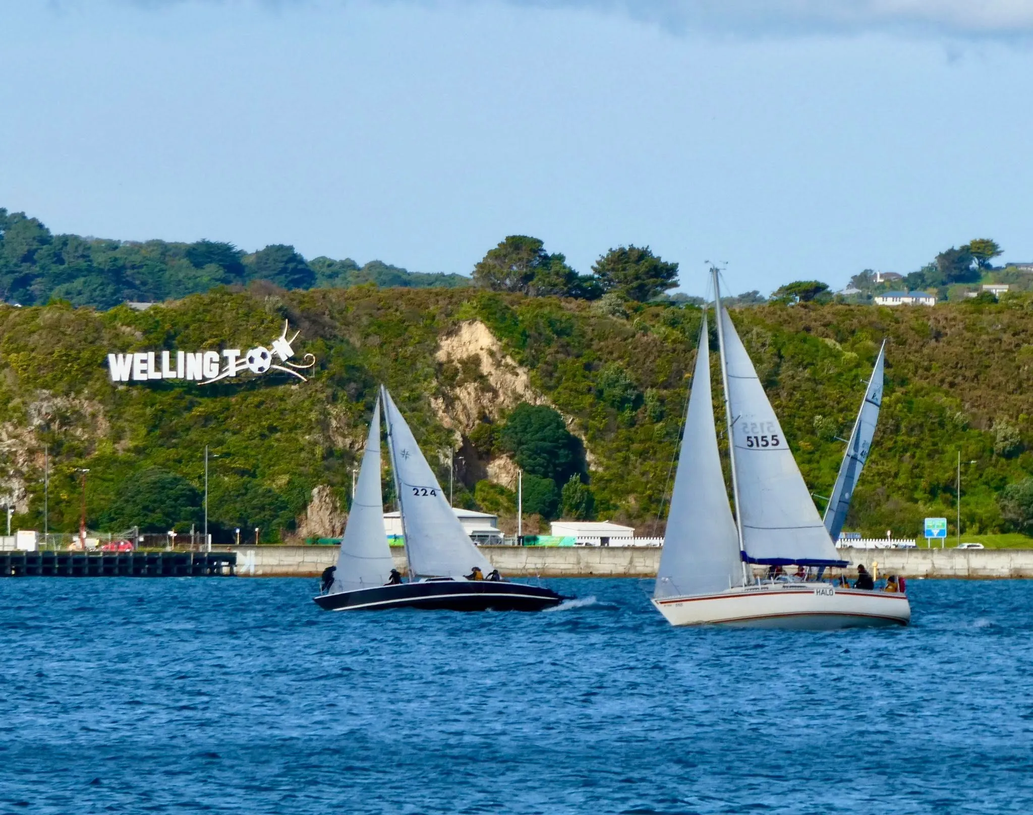 Wellington Harbour