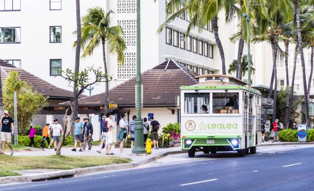 OAhu Hawaii Lead Lead