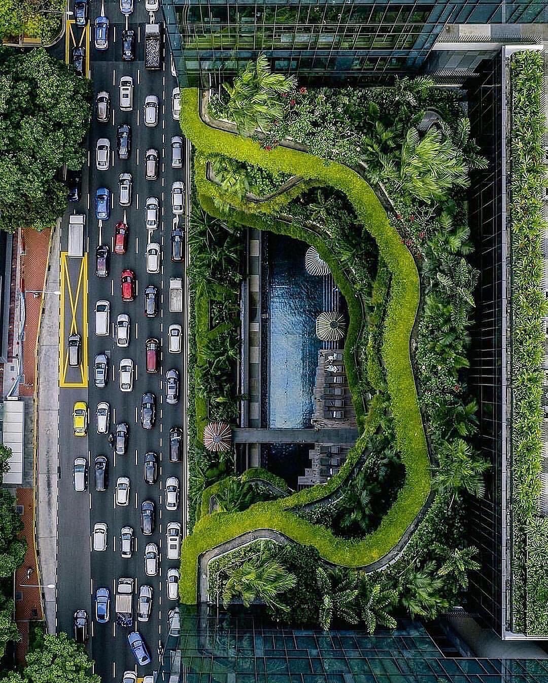 Singapore Travel Guide Green Space